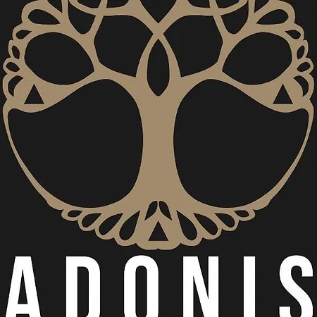 Adonis Excellior Grand Genève 4*
